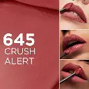 61Q3JK782vL._AC_UF350,350_QL80_.webp