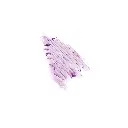 1000000511.webp