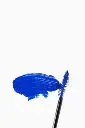 216746173_nocolor_bk.webp