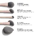 Morphe-2024-Shaping-Essentials-Brush-Infographics-Designed-Asset-Face_66ae3219-0b7b-4bed-b890-8faef249e10b.webp