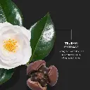 SHI-SS24_PDP_UTMMen_Alt_05@2x.webp