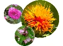 key (2).webp