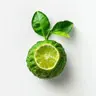 bergamot.webp