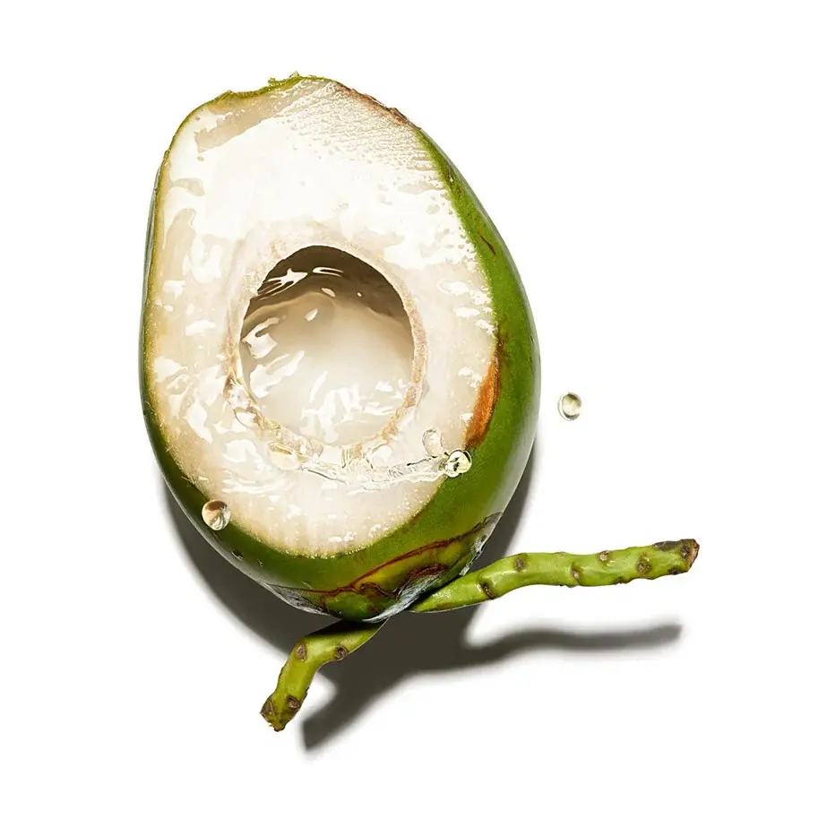 cocos_nucifera.webp