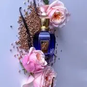 ORDoPQTQc80I0jK9.webp