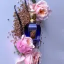 ORDoPQTQc80I0jK9.webp