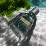 0Ccy633gJN5TxzVe.webp