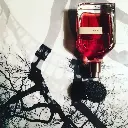 ORTO PARISI TERRONI