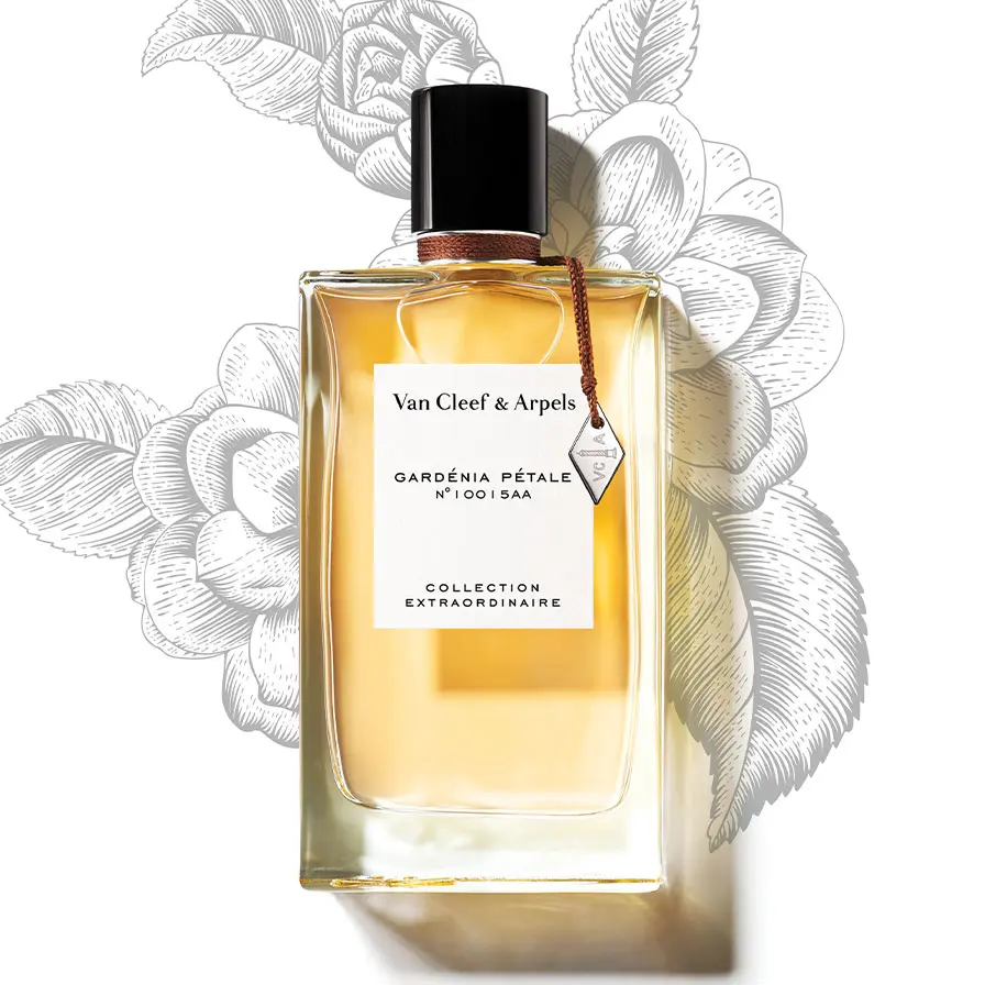 VAN CLEEF  ARPELS GARDENIA PETALE