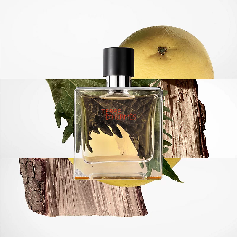 TERRE D HERMES EAU DE PARFUME 75ML 
