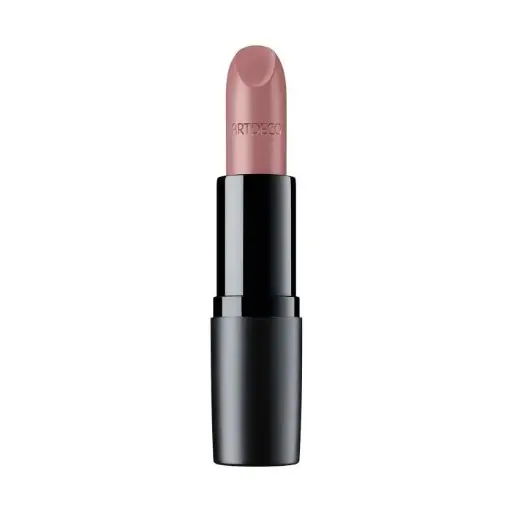 Perfect Mat Lipstick 165