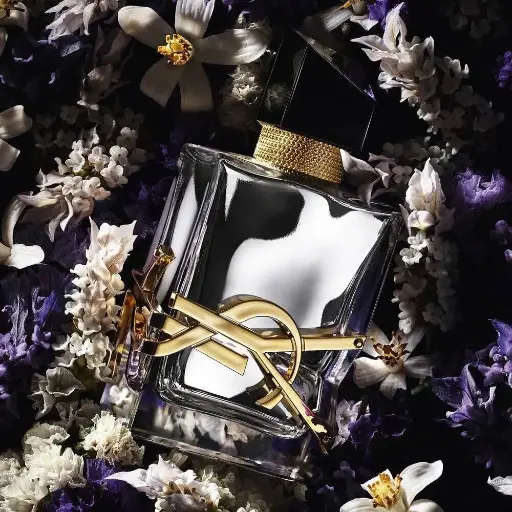 YVESSAINTLAURENT LABSOLU PALTINE 90ML