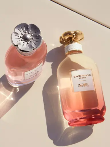 COACH DREAMS SUNSET