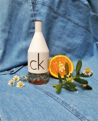 CALVIN KLEIN CKIN2U 