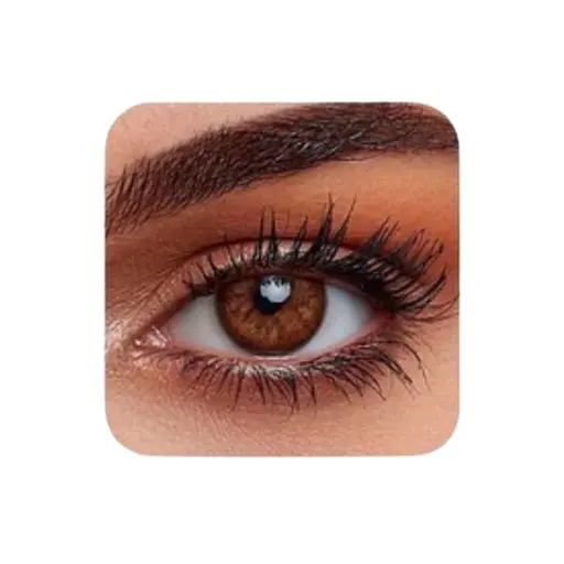 TIAMO LENSES CORN G700