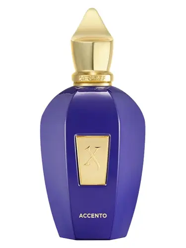 XERLOFF ACCENTO 100ML