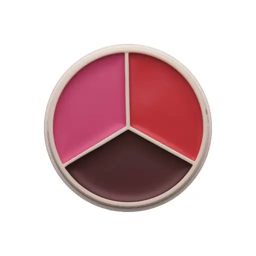 Anastasia magloc touch blush tri berry rose  