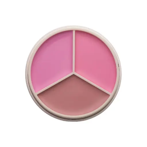 Anastasia magloc touch blush tri pink   