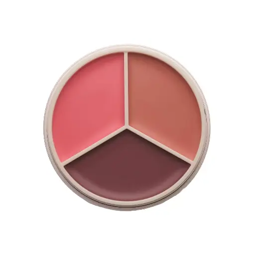 Anastasia magloc touch blush tripeach   